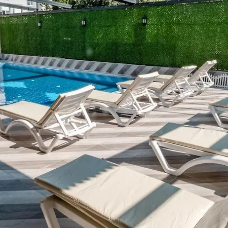 Orange Owl Hotell