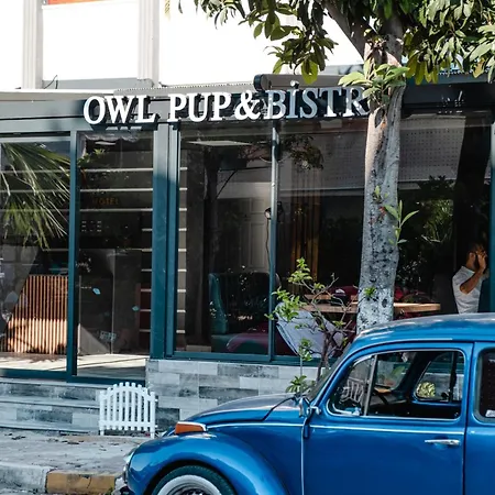 Hotell Orange Owl *