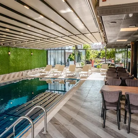 Orange Owl Hotell